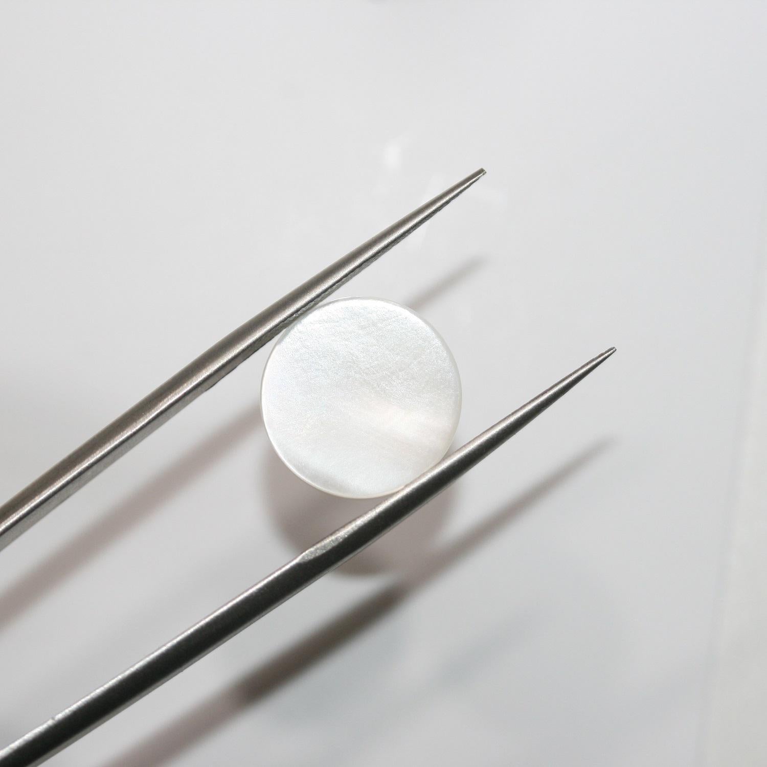 Lote de 8 cabujones redondos planos MOP de 13,5 mm. (8 uds.)