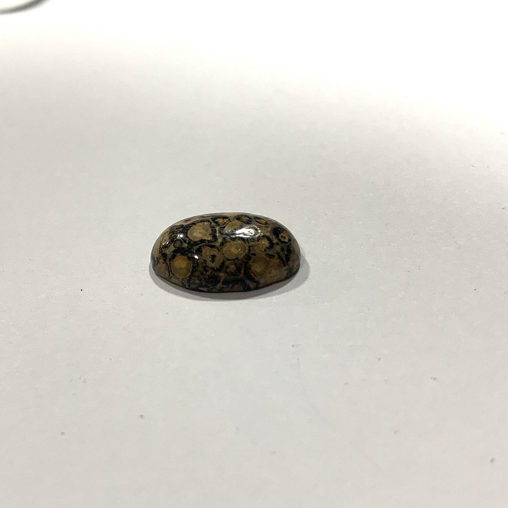 Lote de 6 cabujones lisos de jaspe ovalado de leopardo (6 piezas) 18 x 13 mm.