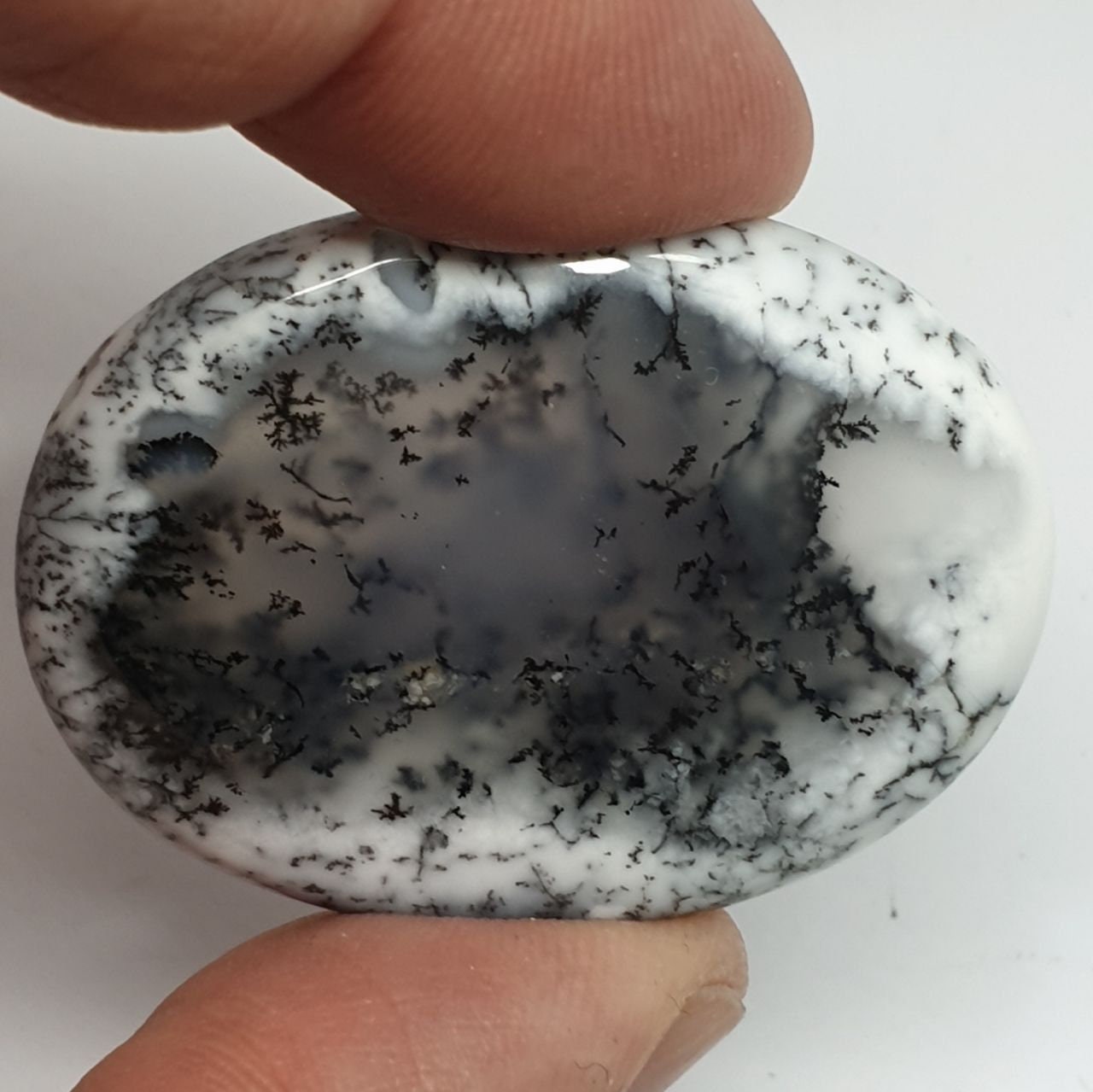 Big AAA Dendritic Opal Agate Oval  Cabochon 41.5x30.8mm 68ct- Natural Untreated Opal -  Natural Untreated Gemstone