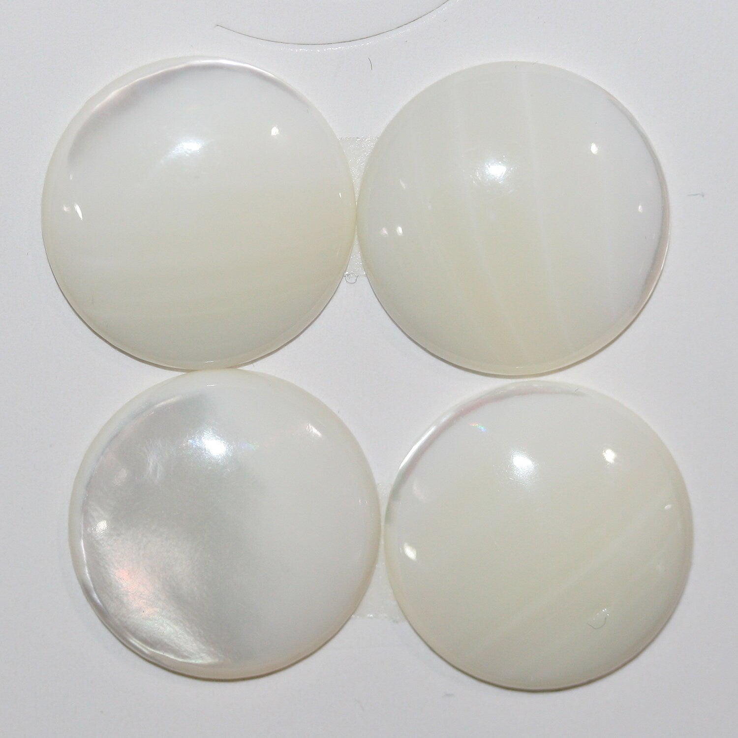 Lote de 4 cabujones redondos de MOP blanco de 20 mm (4 piezas).