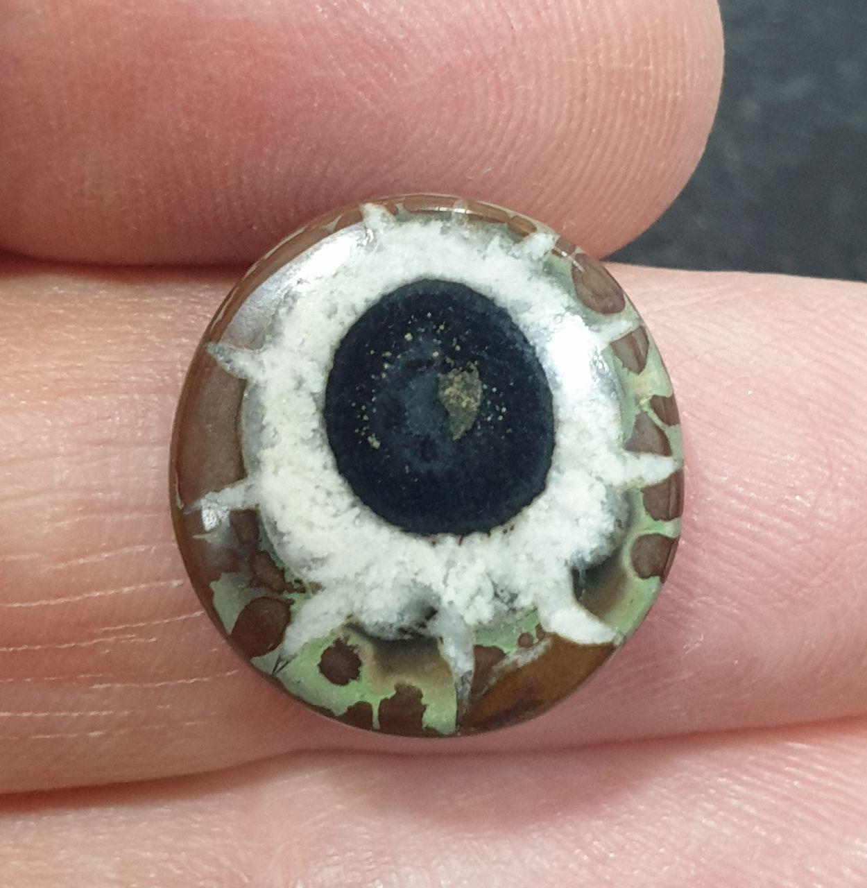 17x16.5mm, Natural Septarian Near Round Cabochon. 11.4cts. Natural Stone.