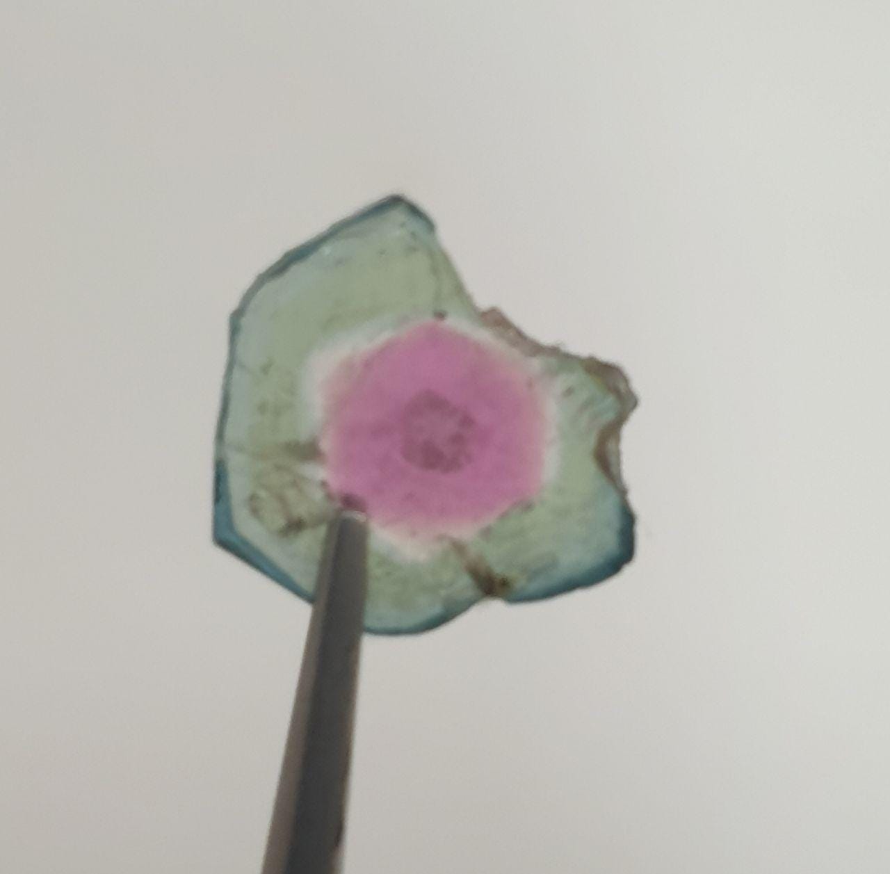 Watermelon Tourmaline Slice -Bi Color   Green And Pink Tourmaline 1.63ct  9mm - Rare Stone Color-One Of A Kind