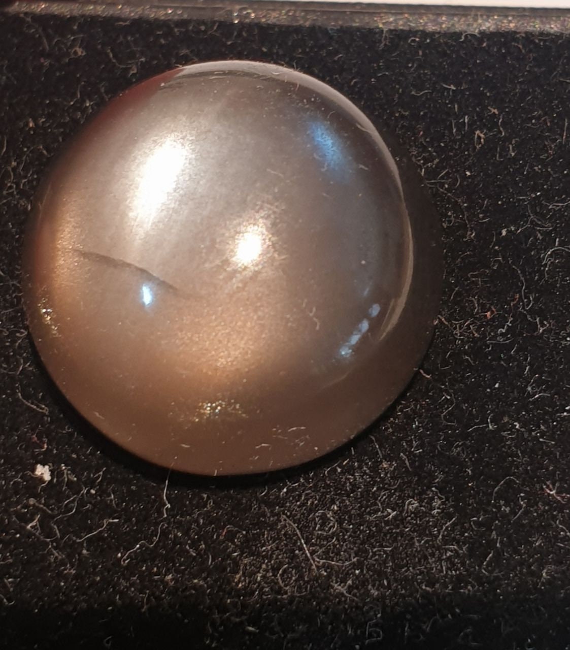 Cats Eye Black Moonstone Round Cabochon  15mm 12.4ct Collector Stone Rare Stone Jewelrry  Supplier