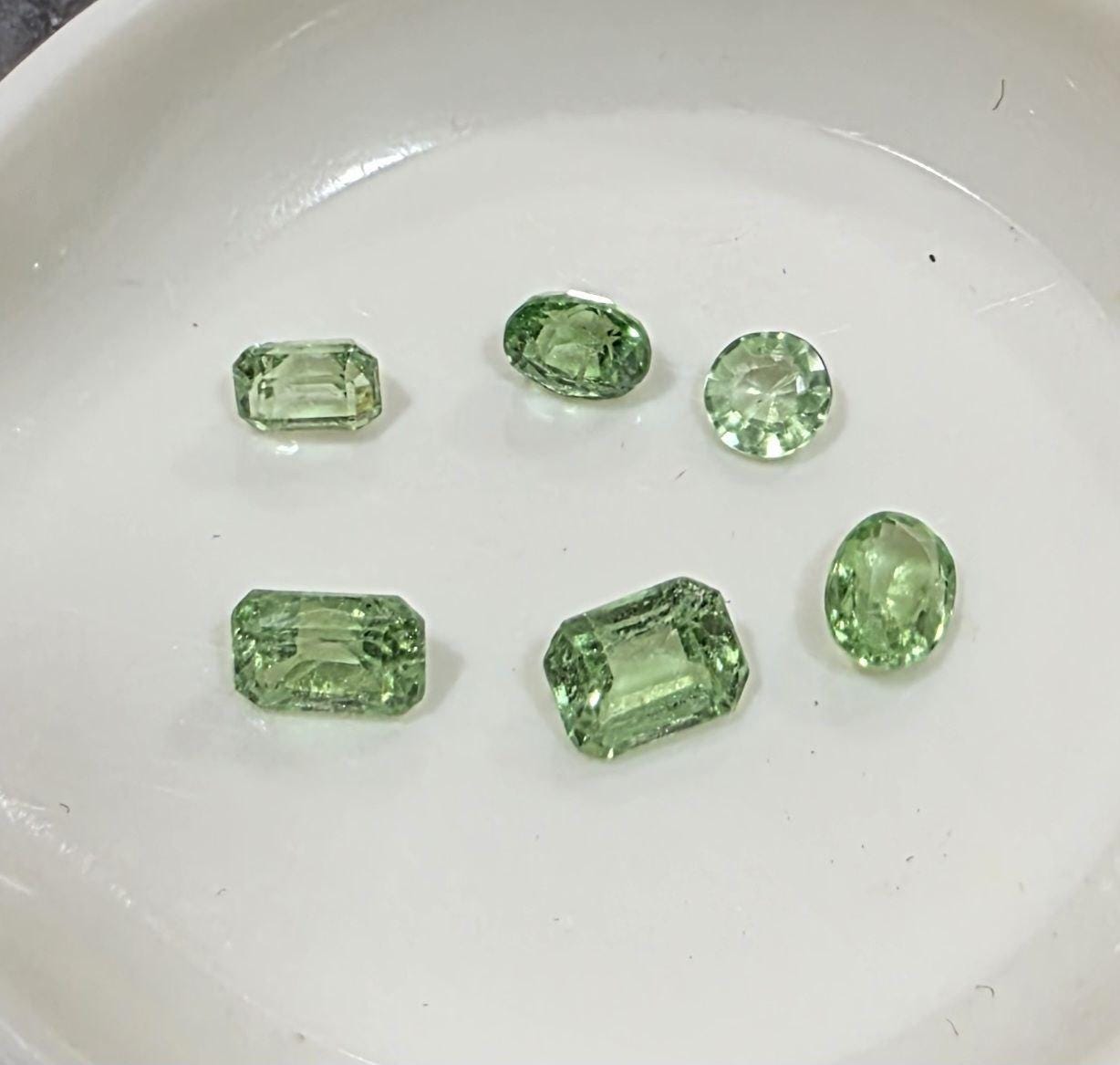 Lote de 6 piezas de granate tsavorita en formas mixtas (octógono, ovalado y redondo) - Parcelas de piedras preciosas - Piedras sueltas al por mayor