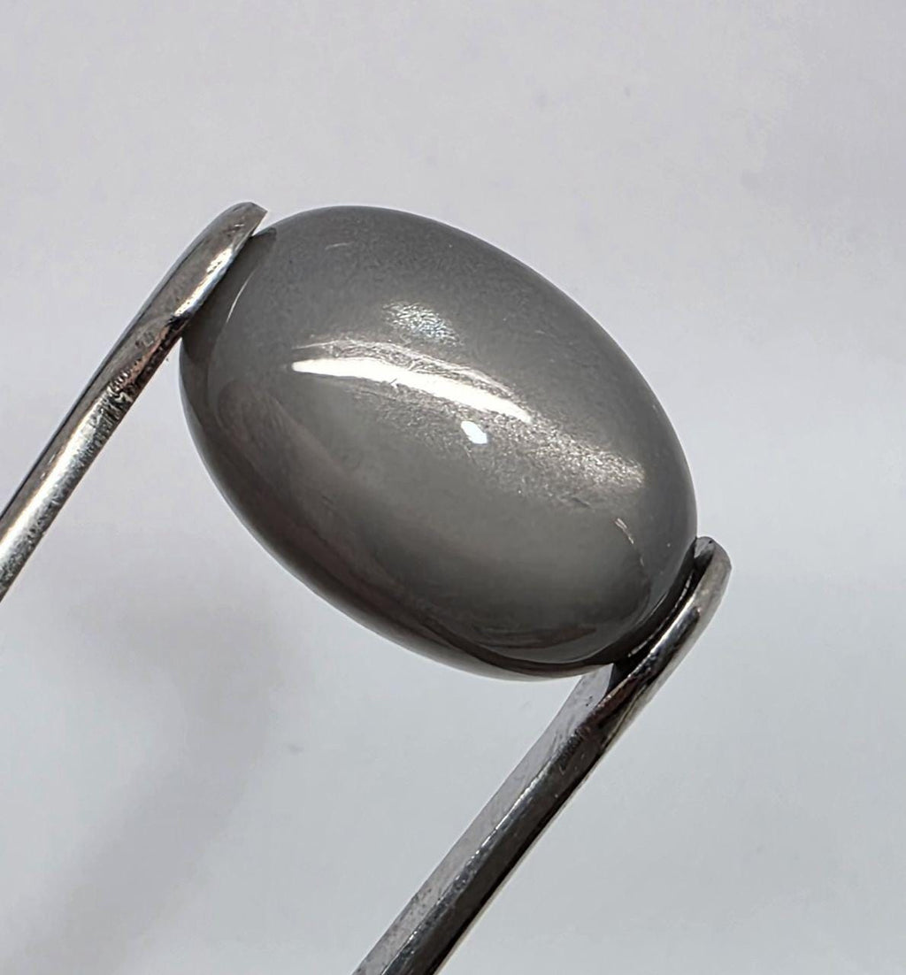Pierre de lune grise AAA, cabochon ovale lisse 22,6 x 15,4 mm (24,47 ct) - Pierre de collection, fournisseur de bijoux en pierres rares - Gemmes naturelles - Adularescence