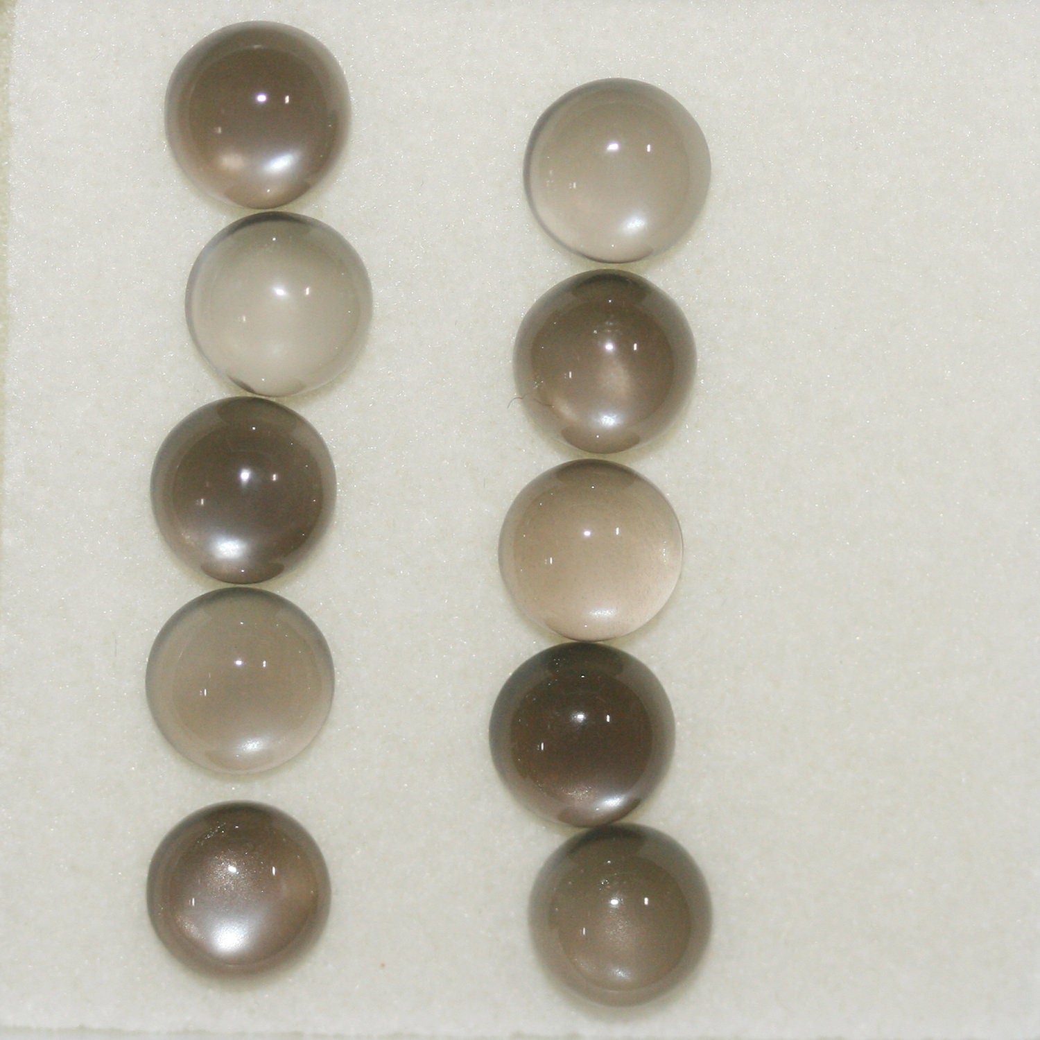 10Pcs Lot Gray Moonstone Round Cabochon 6mm (10 pcs.)