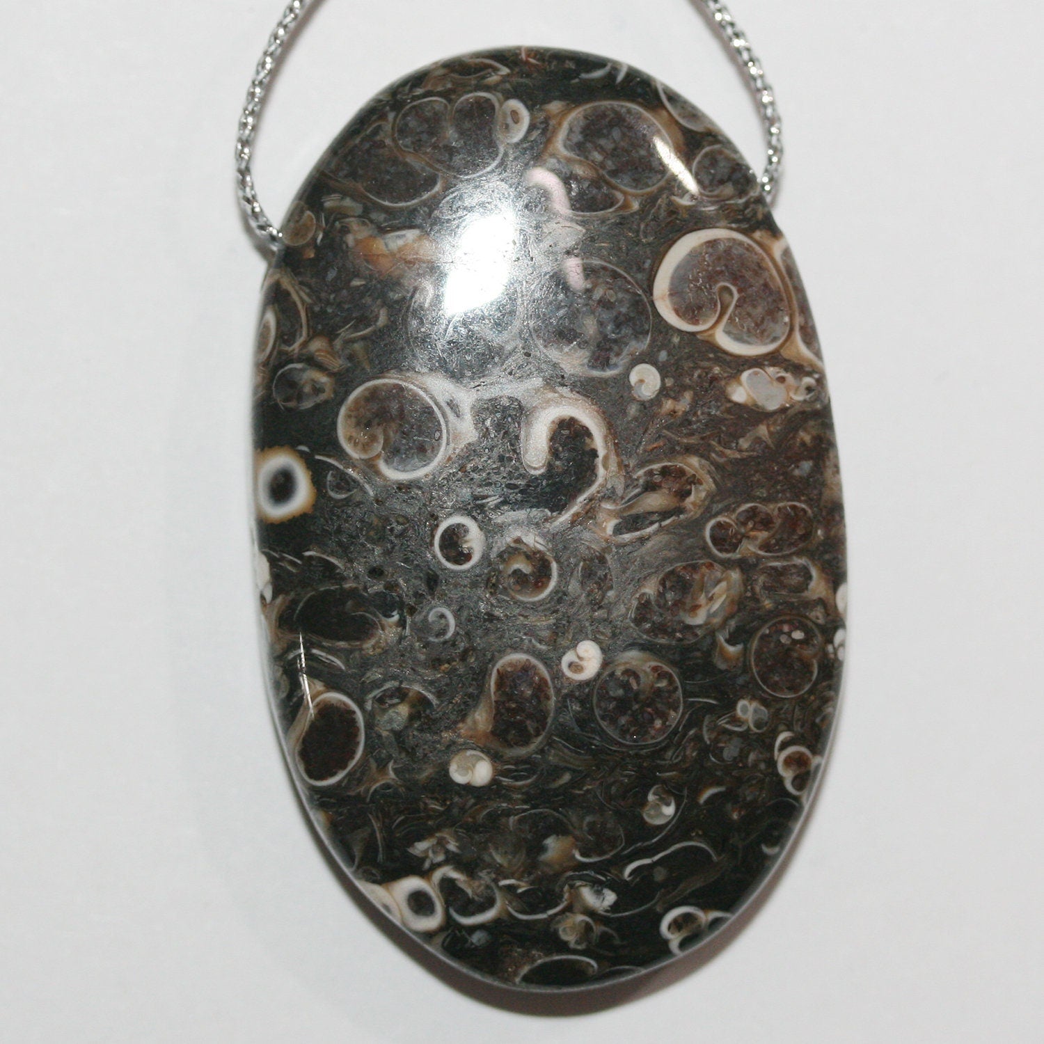 Pendentif ovale lisse en agate turritelle, 45 x 25 mm environ (1 pièce)