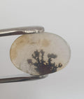 Rare Inclusion Natural Dendritic Agate Oval 18.8x13.2mm Cabochon Made By Mother Nature 6ct