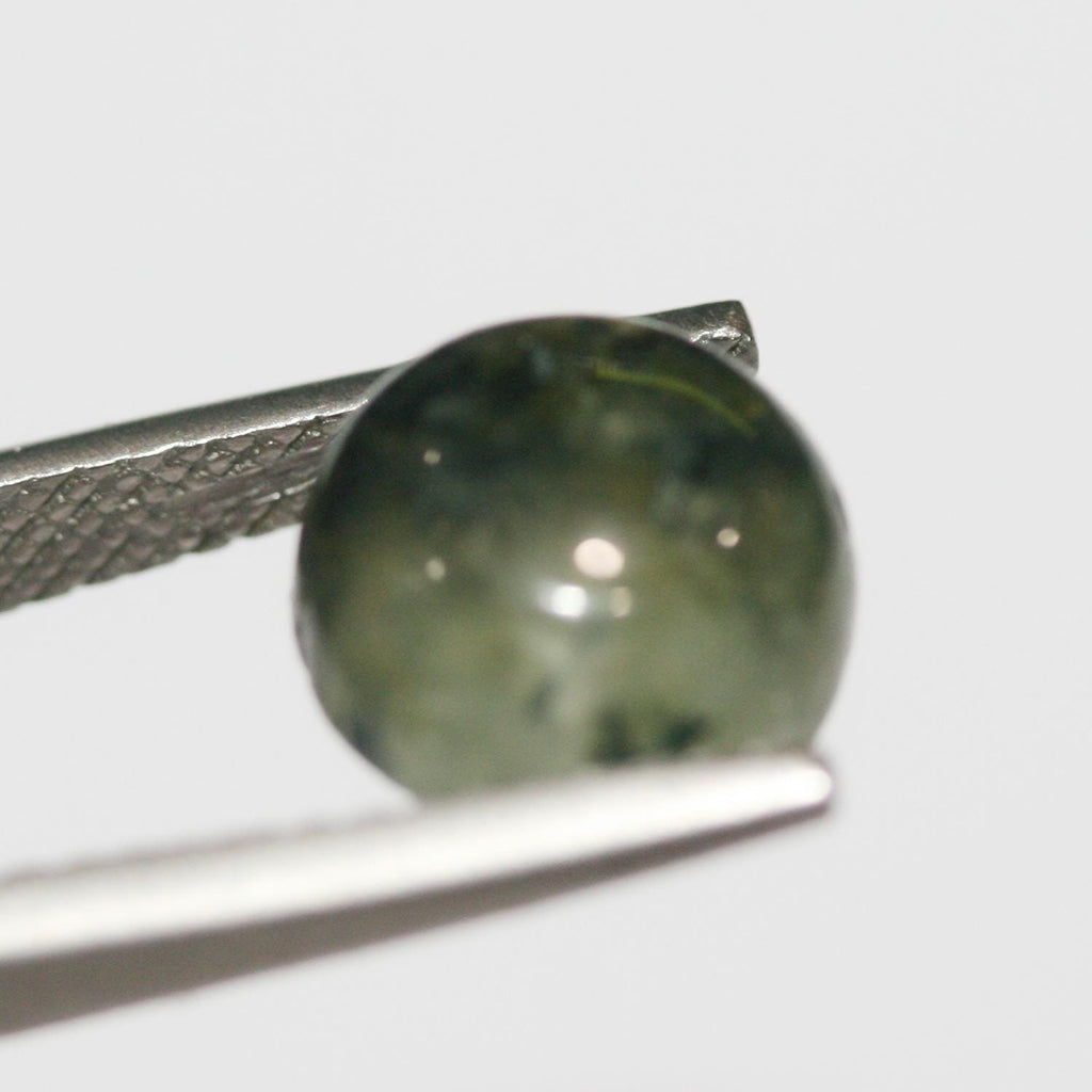 10 Pcs Lot Prehnite Round Cabochon 9mm (10 pcs)