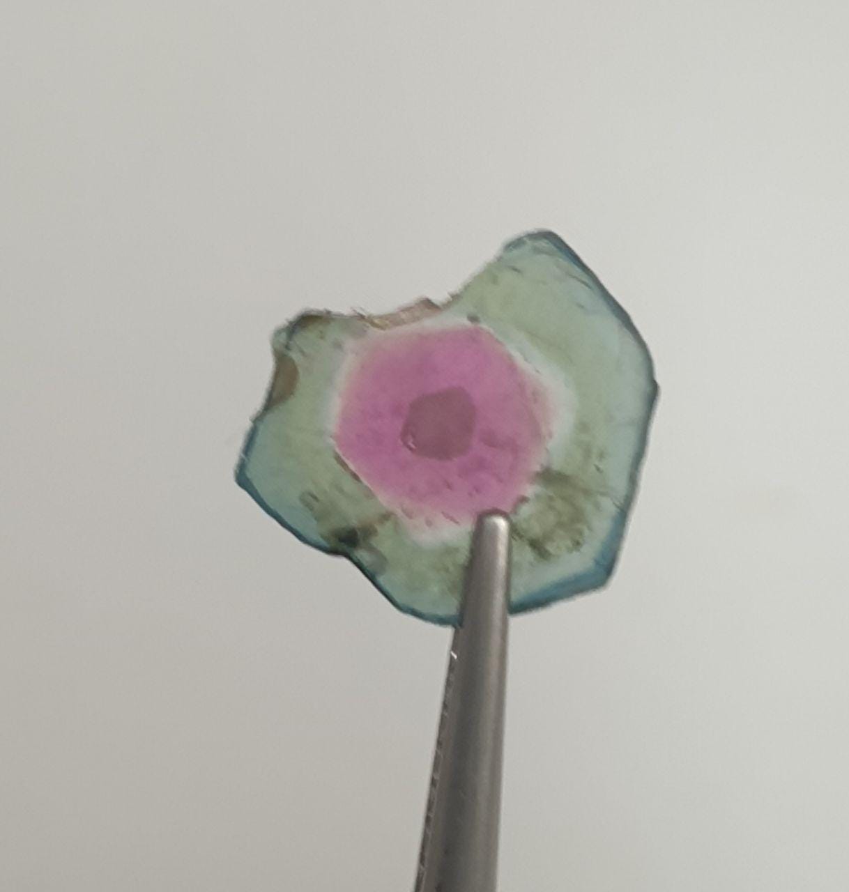 Watermelon Tourmaline Slice -Bi Color   Green And Pink Tourmaline 1.63ct  9mm - Rare Stone Color-One Of A Kind