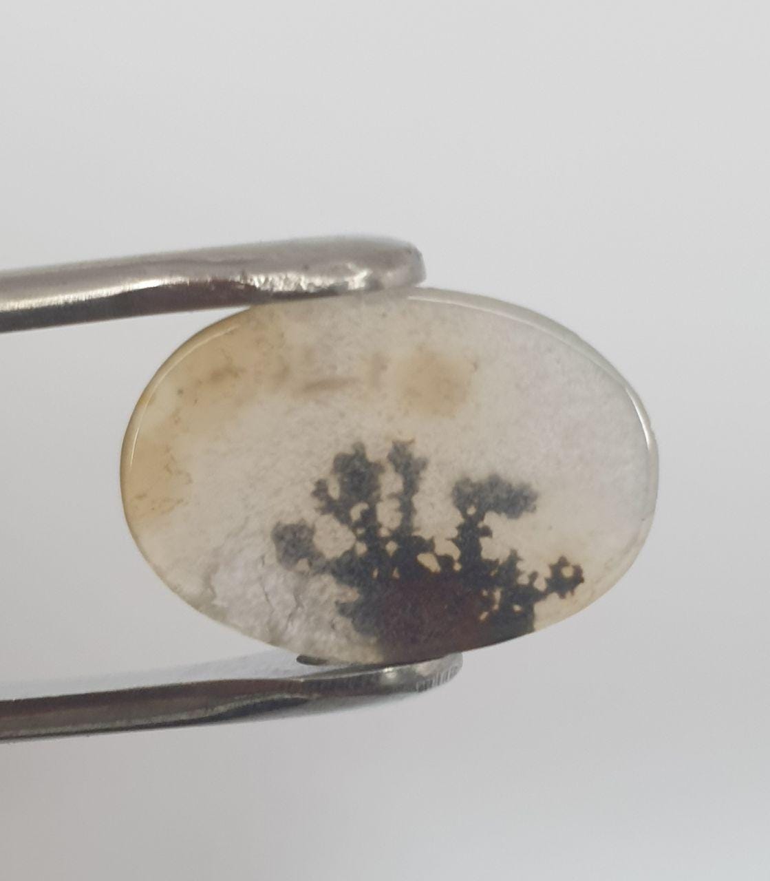 Rare Inclusion Natural Dendritic Agate Oval 18.8x13.2mm Cabochon Made By Mother Nature 6ct