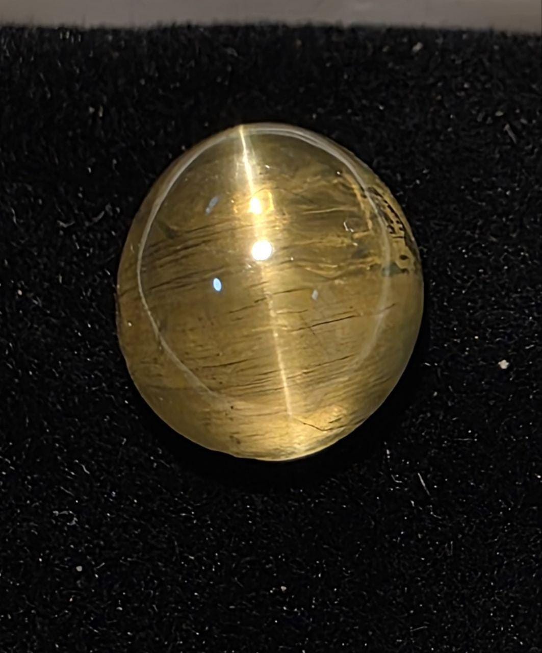 Apatite œil-de-chat verte AAA unique en son genre, cabochon ovale 12,3 x 10,6 mm, 7,5 ct - Gemme non traitée - Qualité exceptionnelle - Chatoyance - Pierre de collection