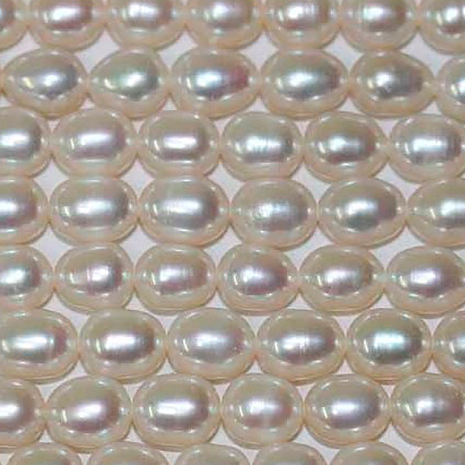 Perla de agua dulce ovalada de 15" (5-6 mm) - Hilo de 39 cm - Precios al por mayor de perlas naturales