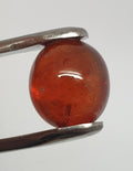 Big Spessartite Garnet Oval Cabochon 13x11.4mm. ( 13.08ct.) Fanta Garnet Orange Garnet Spessartite Garnet- Untreated Gem