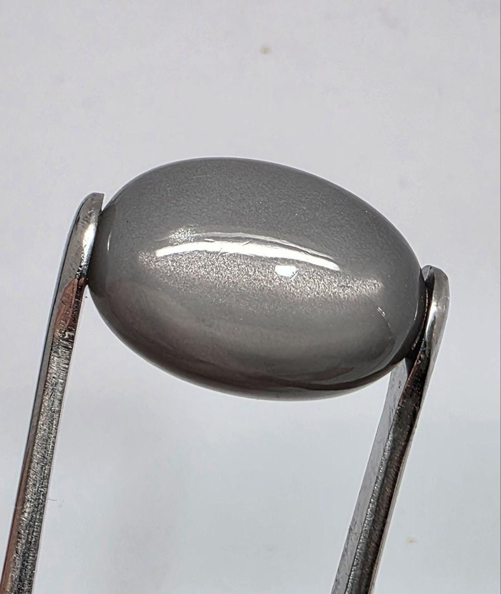 Pierre de lune grise AAA, cabochon ovale lisse 22,6 x 15,4 mm (24,47 ct) - Pierre de collection, fournisseur de bijoux en pierres rares - Gemmes naturelles - Adularescence