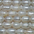 Perles ovales d'eau douce 15 pouces (10 x 6 mm) - Fil de 39 cm - Perles naturelles - Prix de gros