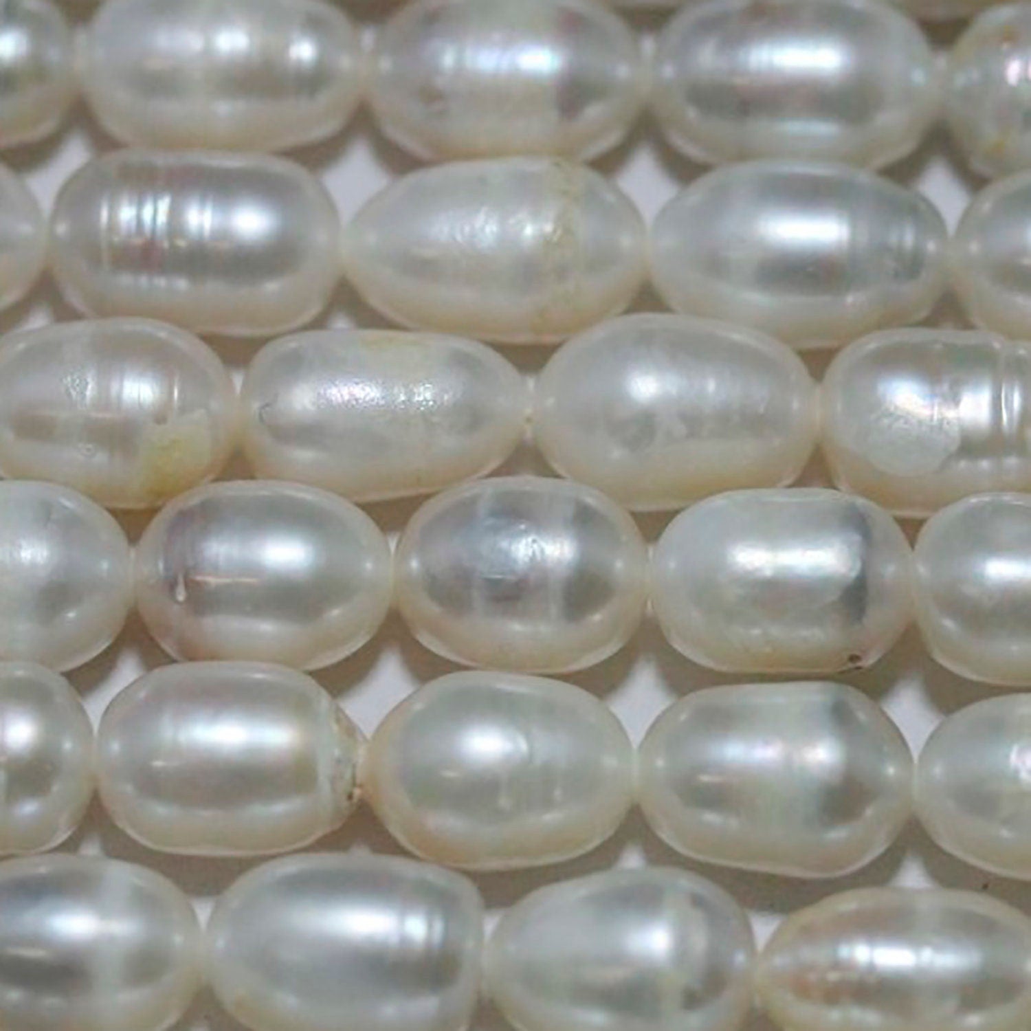 Perles ovales d'eau douce 15 pouces (10 x 6 mm) - Fil de 39 cm - Perles naturelles - Prix de gros