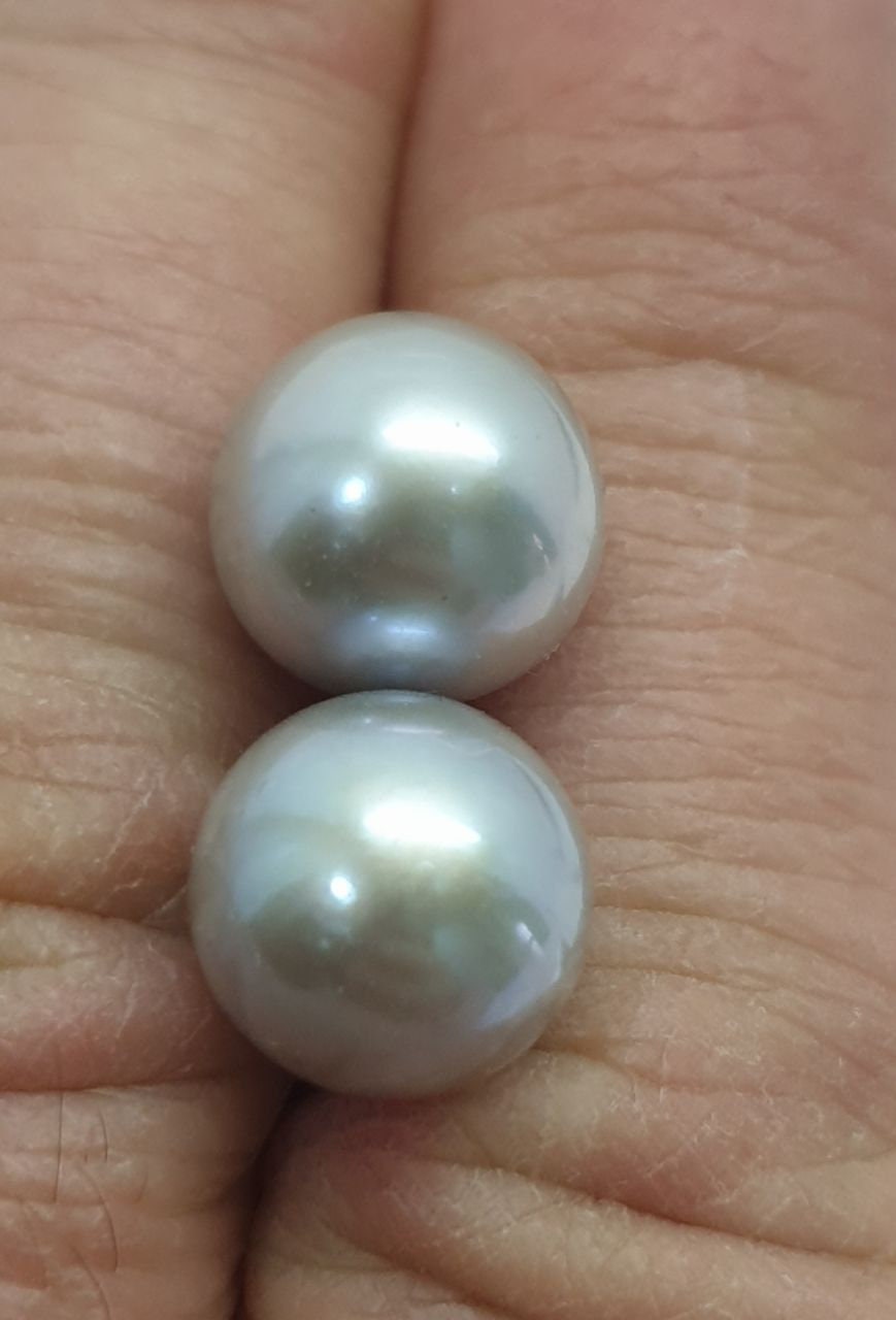 1 Pair Gray  Freshwater Perfect Round Top Luster Undrilled  Pearl  10.-10.5mm  Round Natural Cultured Pearl-Price  Per 1 Pair- Pearl Earring