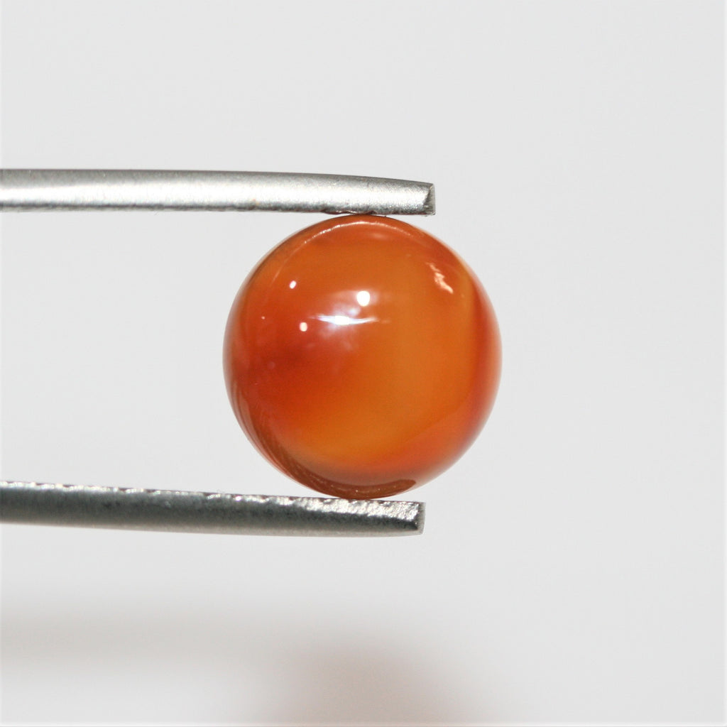 10 Pcs Lot Carnelian Smooth Round Cabochon 10mm. (10 pieces)