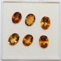 Lote de 6 citrinos palmeiras facetados ovalados de 8 x 6 mm (6 unidades)
