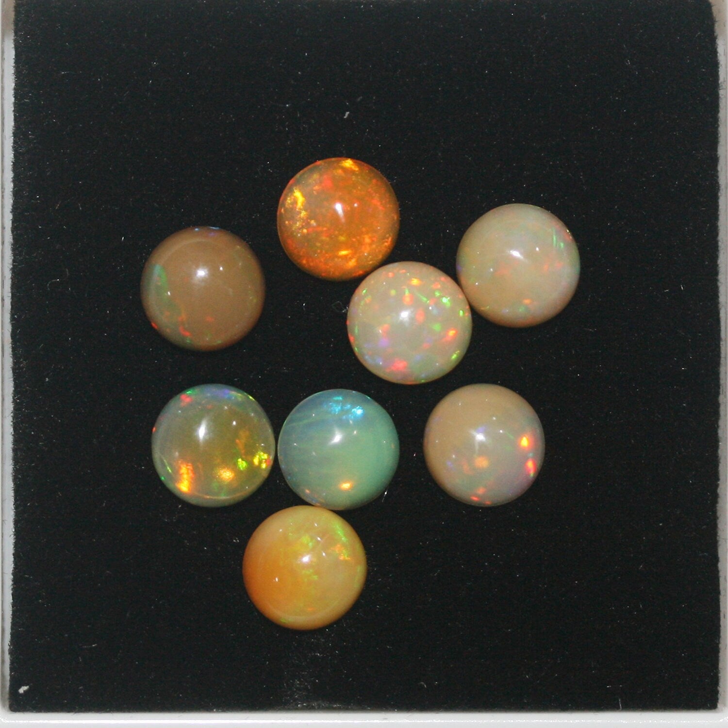 Ethiopian Opal Lot Round Cabochon 6mm.(8 Pcs) -Gemstone Parcels-Loose Stones Wholesale Price