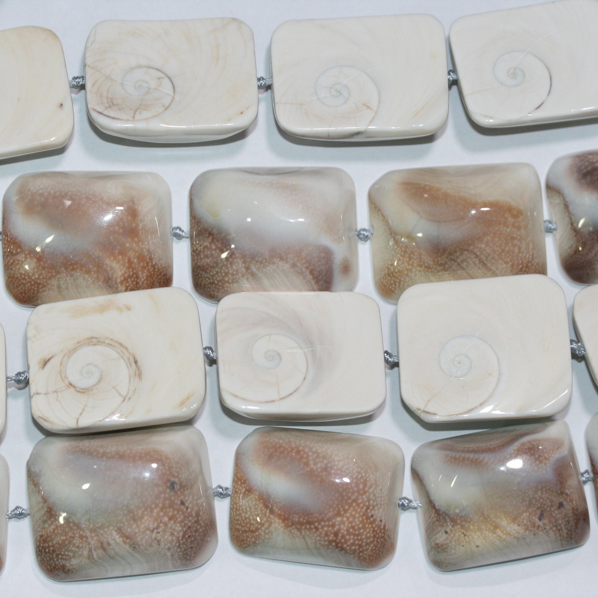 Cuentas rectangulares lisas de caracol fósil de 16", 38 x 29 mm. Tira de 40 cm.