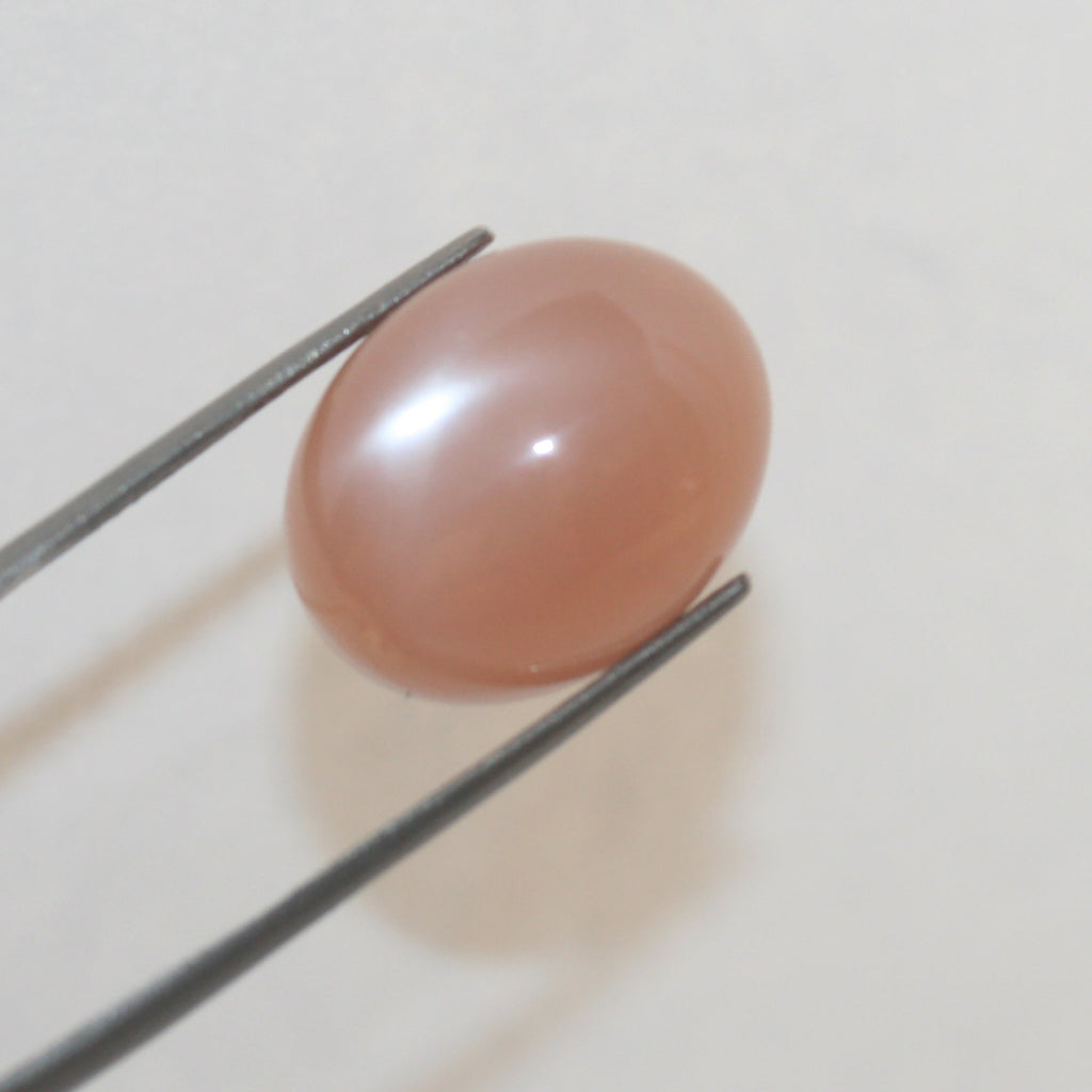 Pierre de lune brune ovale cabochon 18 x 14 mm (15 ct) - Pierre de collection rare - Fournisseur de bijoux - Pierres précieuses naturelles