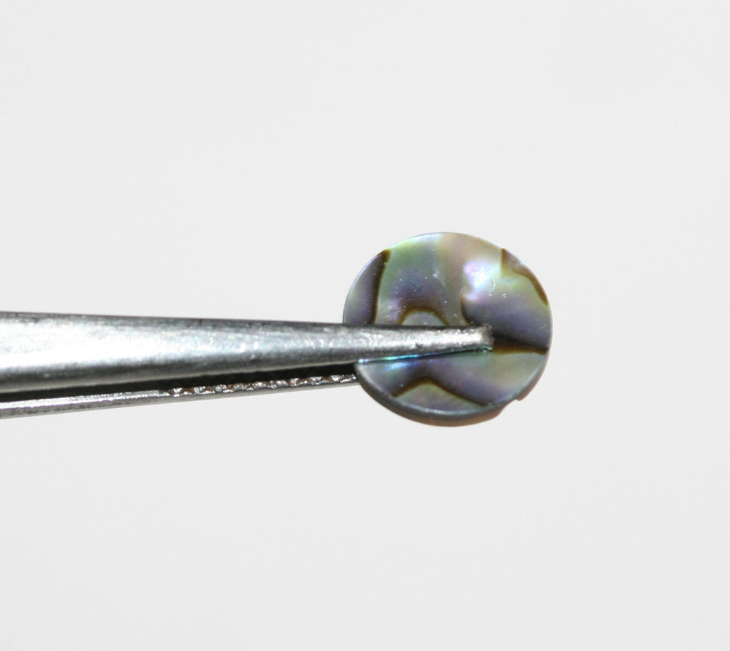 10Pcs Lot Paua Shell Round Flat Cabochon 10mm (10 pcs)