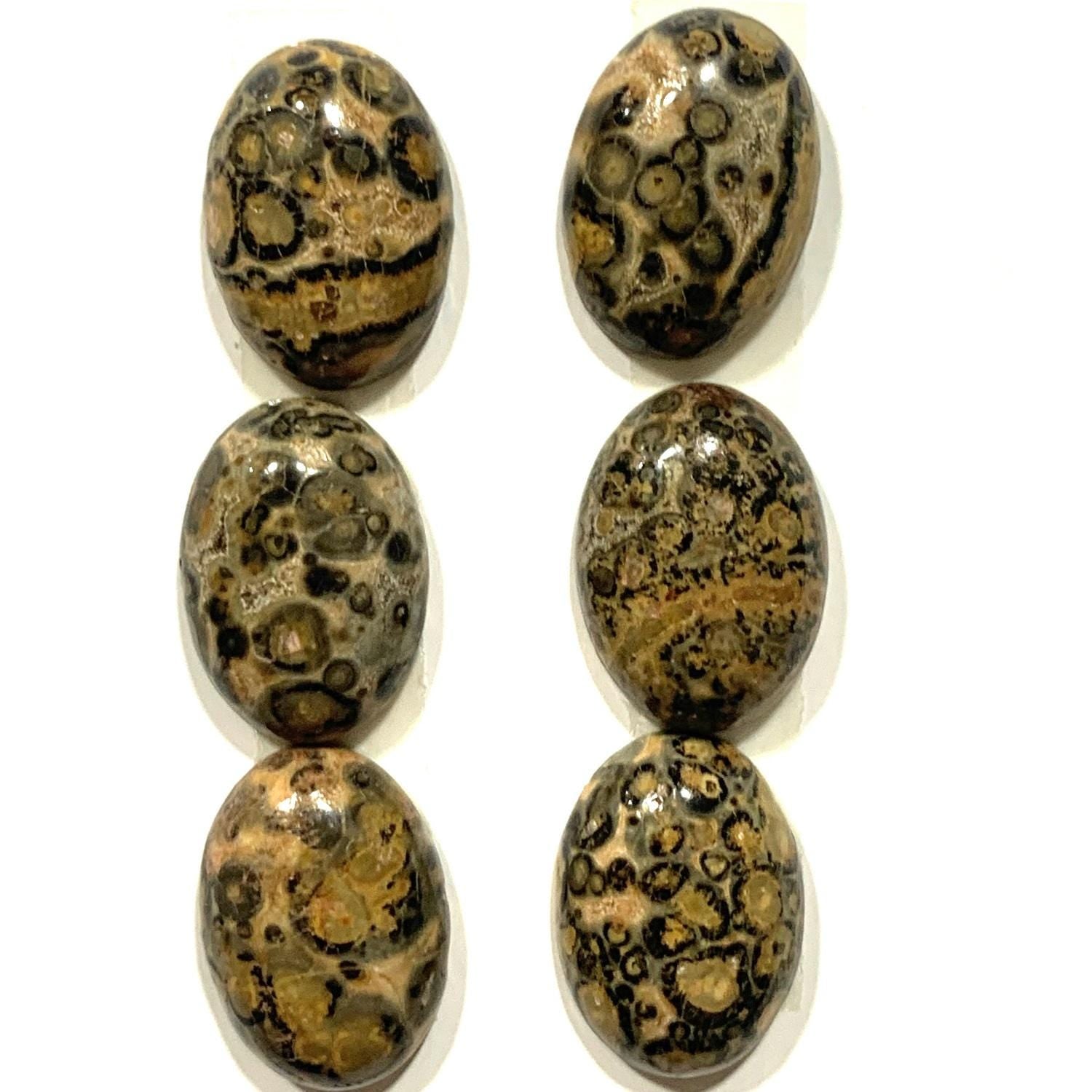 Lote de 6 cabujones lisos de jaspe ovalado de leopardo (6 piezas) 18 x 13 mm.