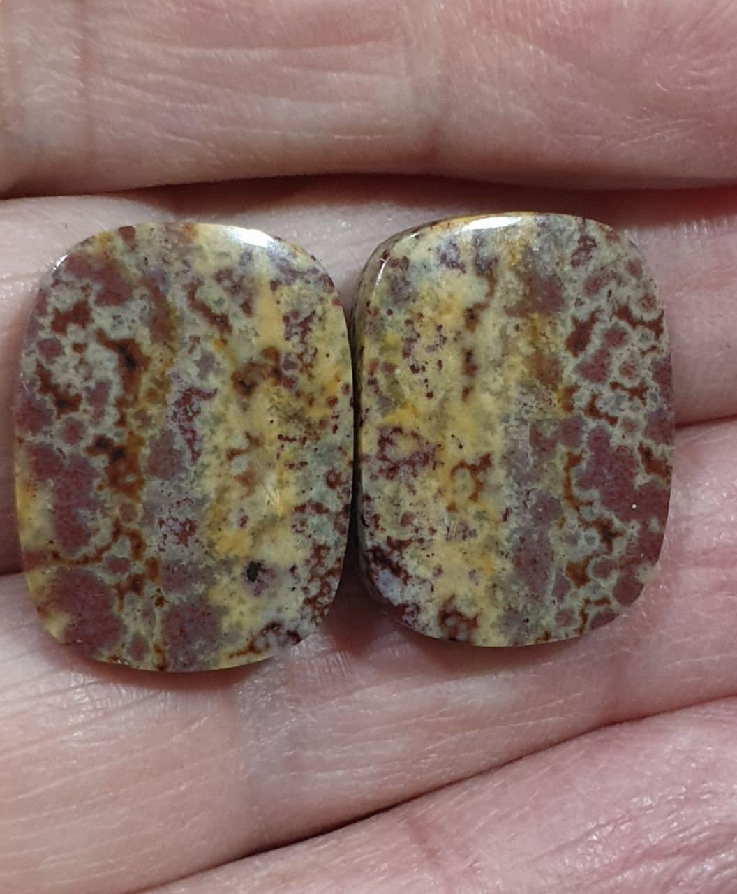 1 Pair Leopard Jasper Cabochons 20.5x15.5mm. Natural Stone