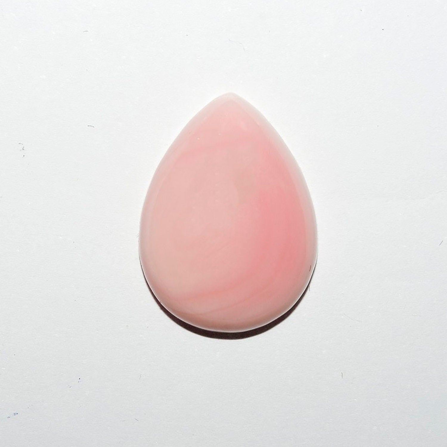 Lote de 2 cabujones de concha rosa de 20 x 15 mm. (2 uds.)