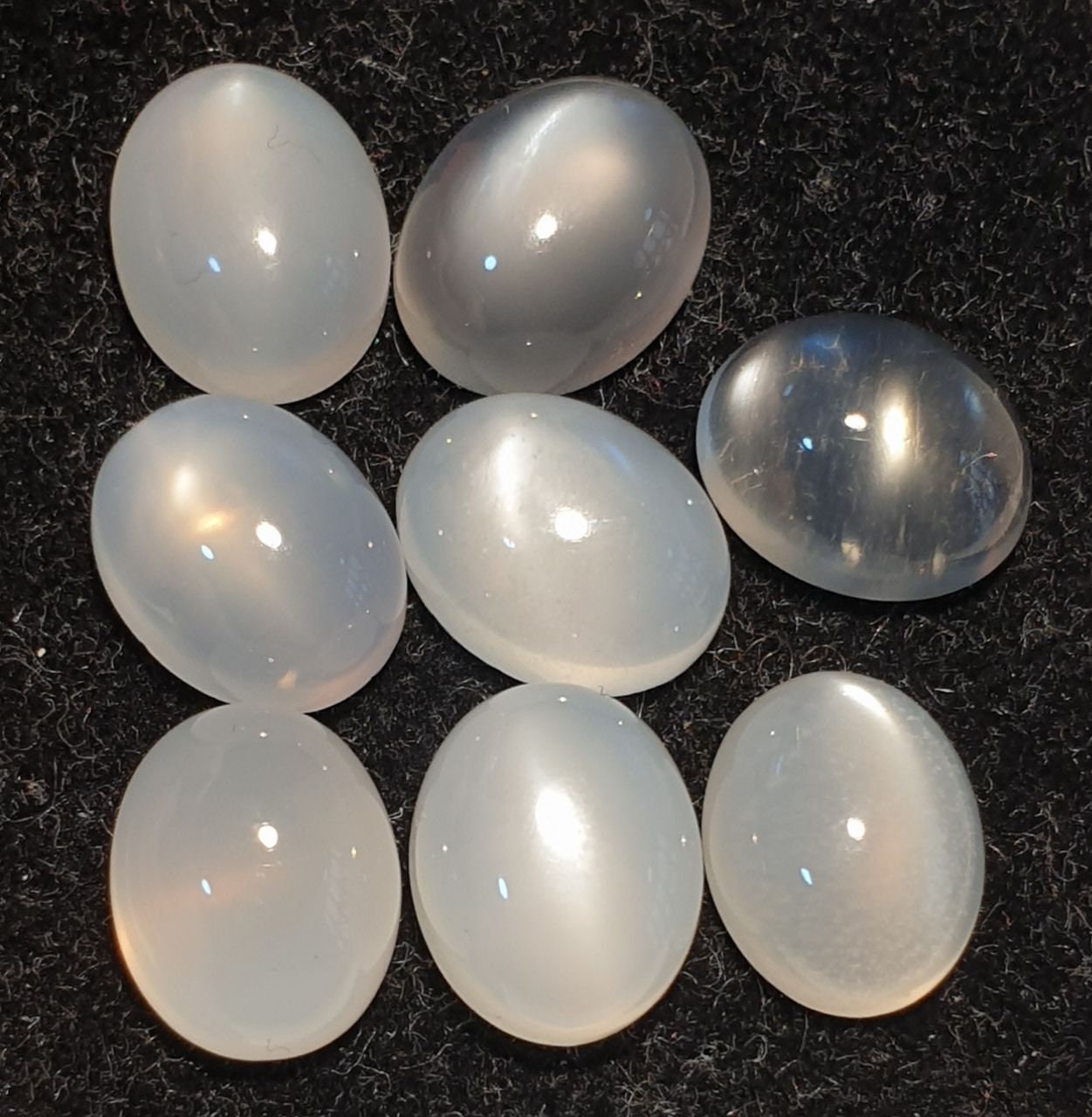 Lote de 8 cabujones ovalados de piedra lunar de ojo de gato blanco de 10 x 8 mm. (8 piezas)