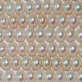 Perles rondelles d'eau douce de 35,5 cm (14 pouces), 7-8 mm, rang de 36 cm. Perles naturelles à prix de gros.
