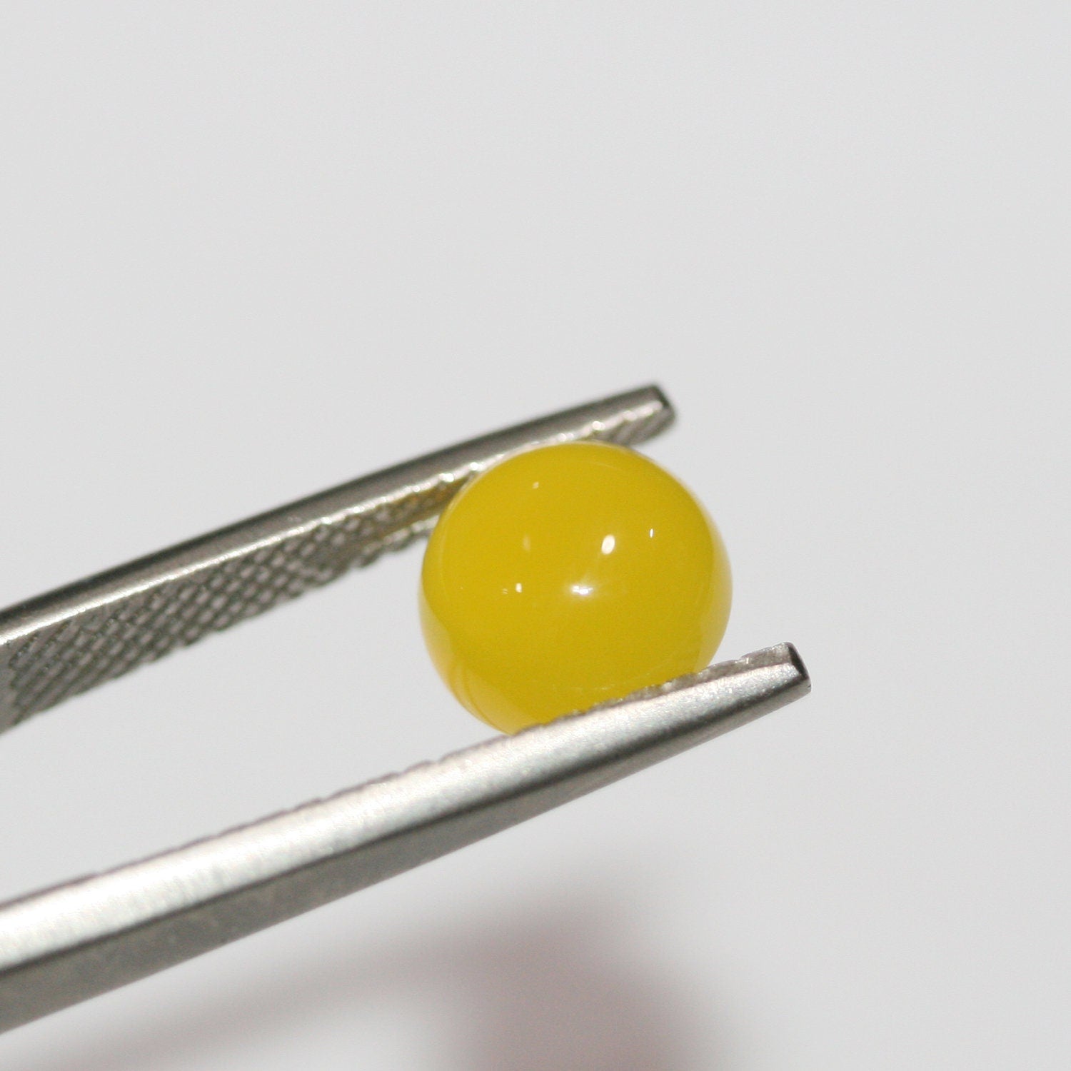 10 Pcs Lot  Yellow Agate Smooth Round Cabochon 8 mm. (10 pcs.)