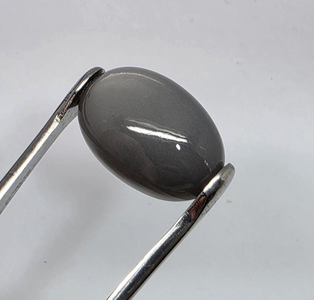 Pierre de lune grise AAA, cabochon ovale lisse 22,6 x 15,4 mm (24,47 ct) - Pierre de collection, fournisseur de bijoux en pierres rares - Gemmes naturelles - Adularescence