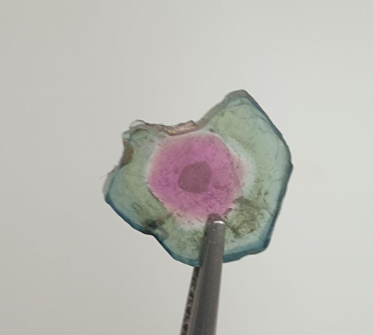 Watermelon Tourmaline Slice -Bi Color   Green And Pink Tourmaline 1.63ct  9mm - Rare Stone Color-One Of A Kind