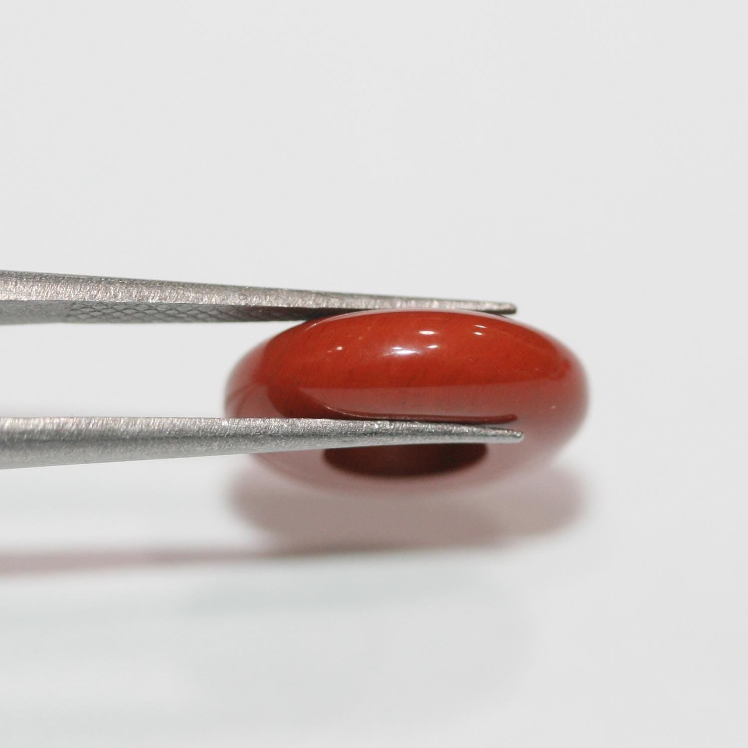 Pendentif créole lisse en jaspe rouge 14 mm (10 pièces)