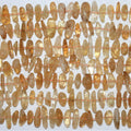 Perles de citrine St. Citrine lisses et irrégulières de 15 pouces (10 x 5 mm - 28 x 10 mm). Longueur approximative du fil : 39 cm.
