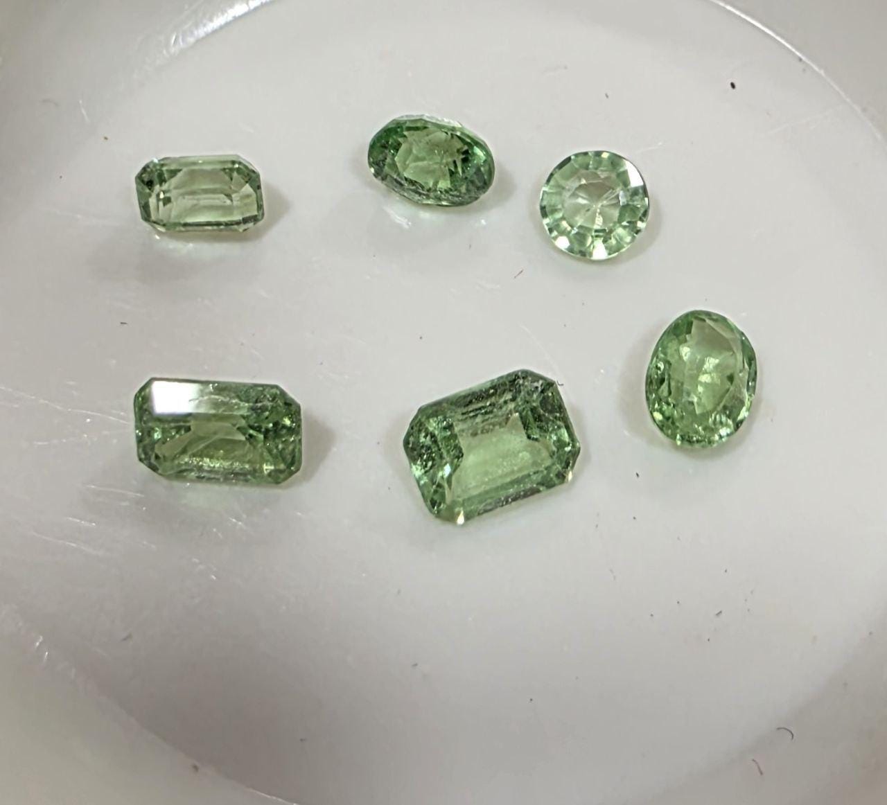 Lote de 6 piezas de granate tsavorita en formas mixtas (octógono, ovalado y redondo) - Parcelas de piedras preciosas - Piedras sueltas al por mayor