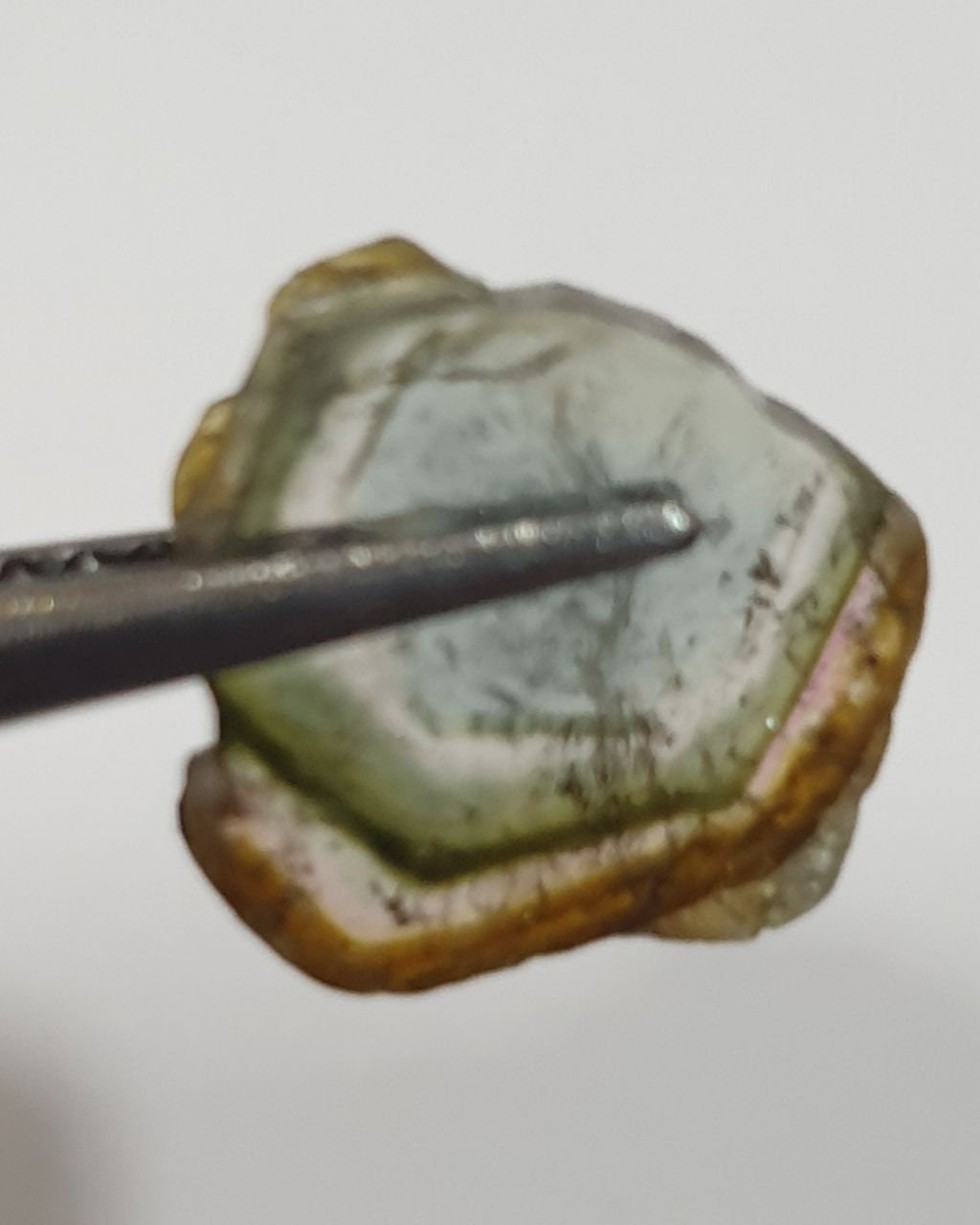 Watermelon Tourmaline Slice -Green  Tourmaline 2.6ct  11x11.5mm - Rare Stone Color-One Of A Kind