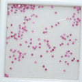 Lot de rubis ronds à facettes de 1 mm à 1 carat