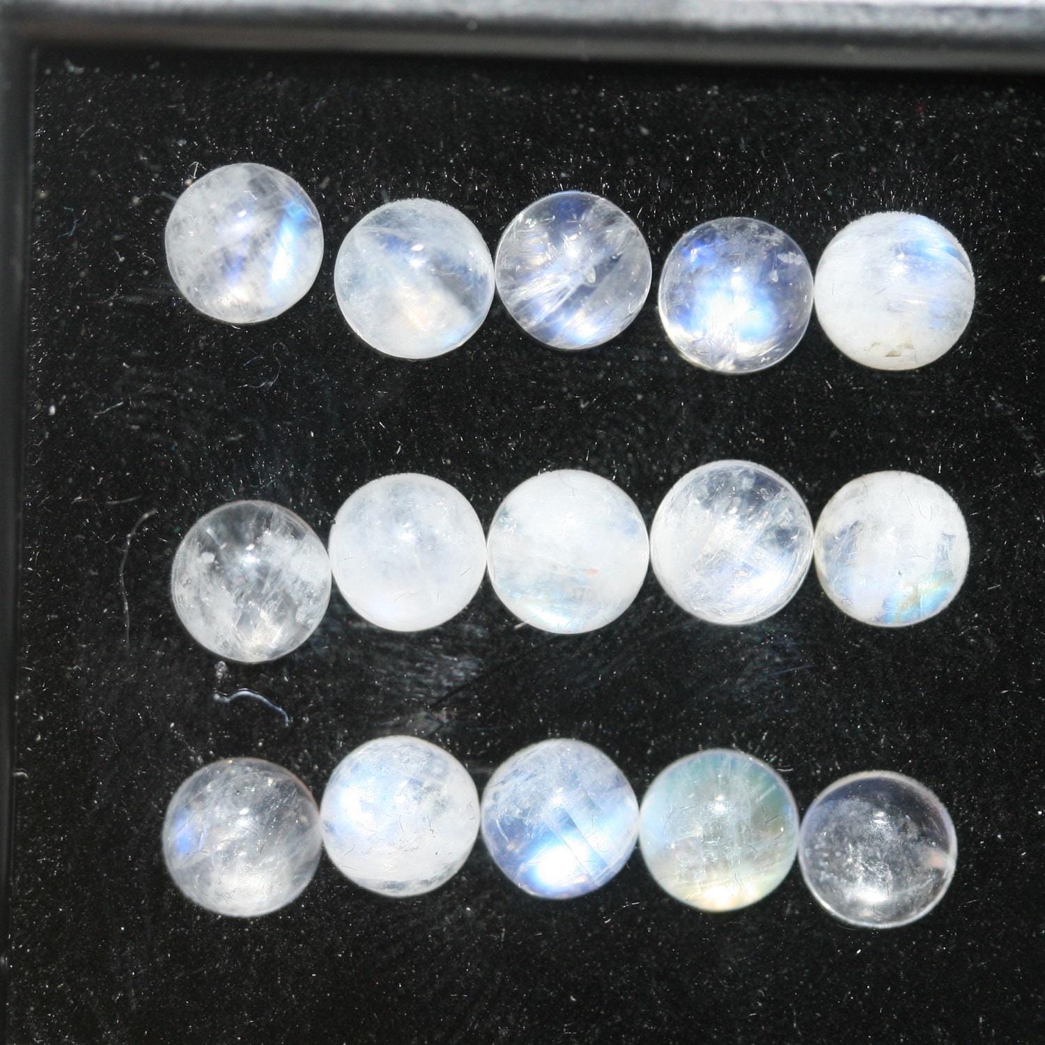 Lote de 15 cabujones redondos de piedra lunar de 5 mm. (15 piezas)