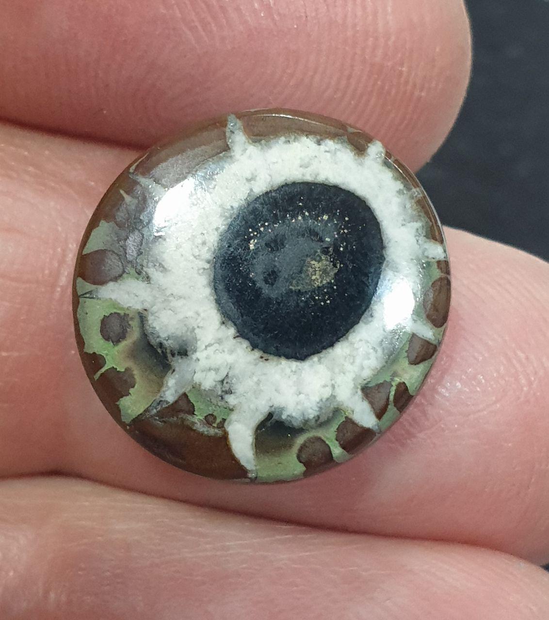17x16.5mm, Natural Septarian Near Round Cabochon. 11.4cts. Natural Stone.