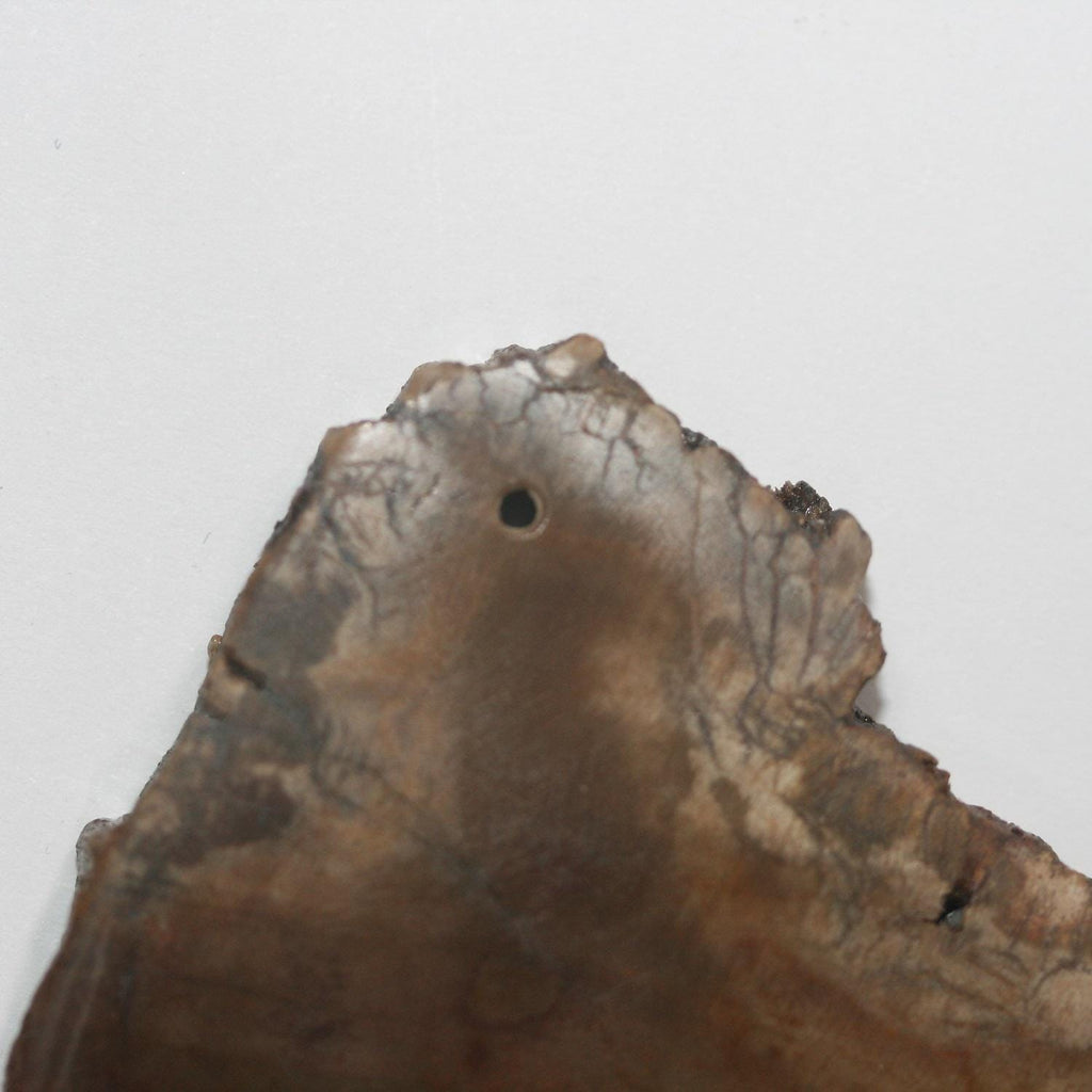 Colgante de madera fosilizada petrificada de 84,4 x 50,5 mm, Xilopal, madera petrificada natural, pieza única.