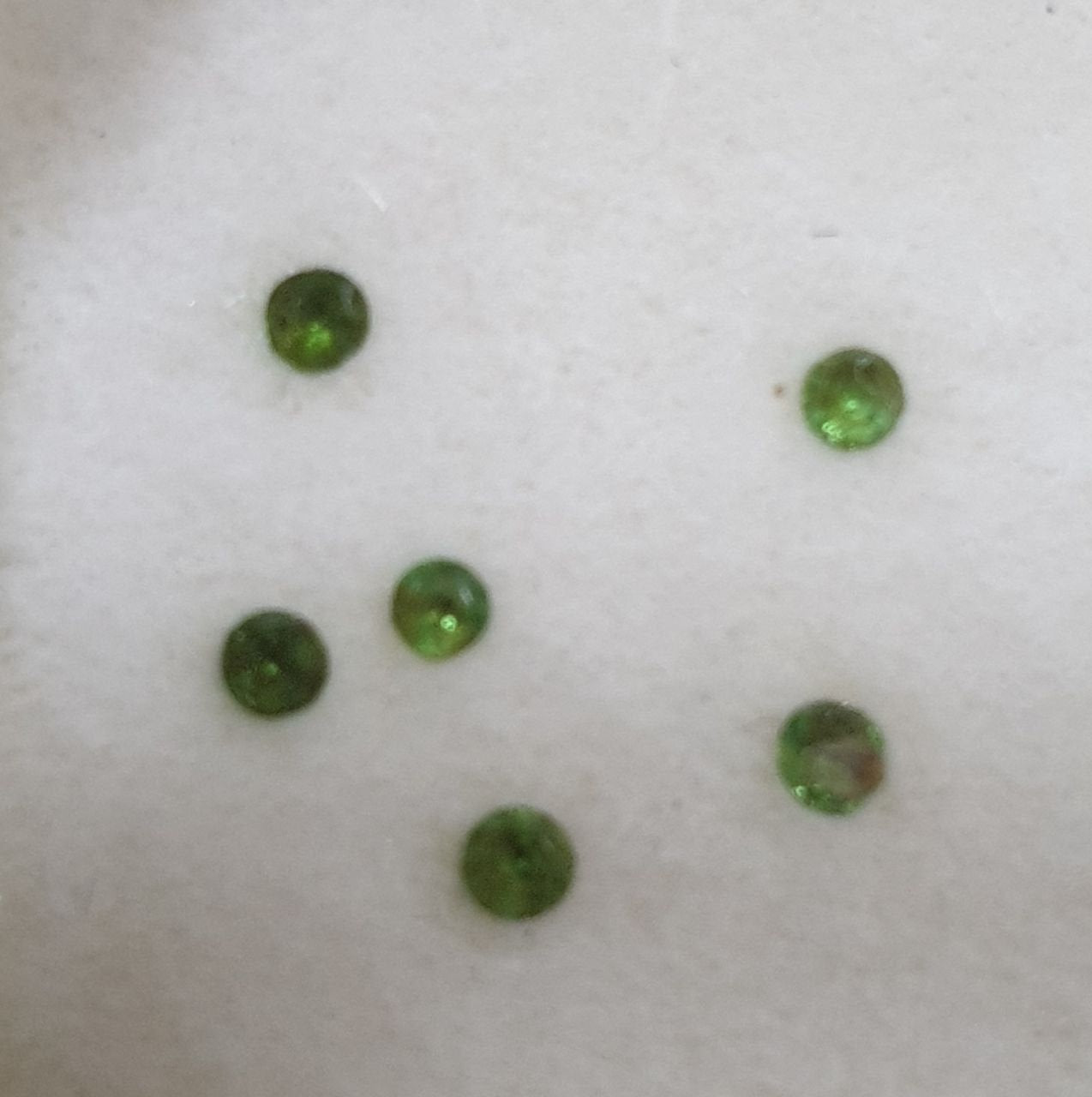 Lote de 6 granates tsavorita redondos facetados de 1,6-1,7 mm. - Paquetes de piedras preciosas - Piedras sueltas al por mayor