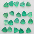 Lot de 20 pierres précieuses d'onix vert facettées taille trillion 5 mm. - Pierres précieuses de qualité supérieure, vente en gros.