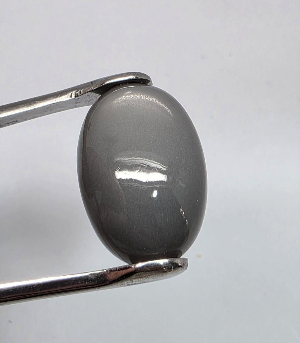 Pierre de lune grise AAA, cabochon ovale lisse 22,6 x 15,4 mm (24,47 ct) - Pierre de collection, fournisseur de bijoux en pierres rares - Gemmes naturelles - Adularescence