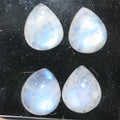 AAA Blue Fire Moonstone  Drop Smooth Cabochon 12x10mm (4pcs).