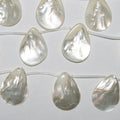 14" St MOP Smooth Leaf Beads 35x25mm.Approx.-Strand 38mm