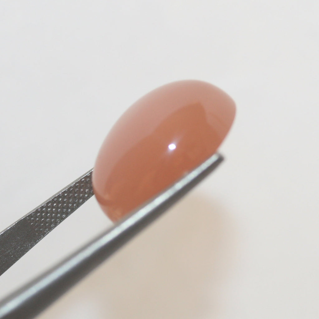 Pierre de lune brune ovale cabochon 18 x 14 mm (15 ct) - Pierre de collection rare - Fournisseur de bijoux - Pierres précieuses naturelles